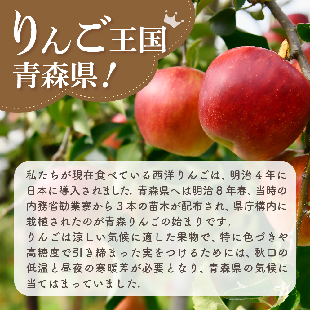 【2026年6月下旬発送】【訳あり】りんご有袋ふじ3kg(スマートフレッシュTM貯蔵又はCA貯蔵・クール便)