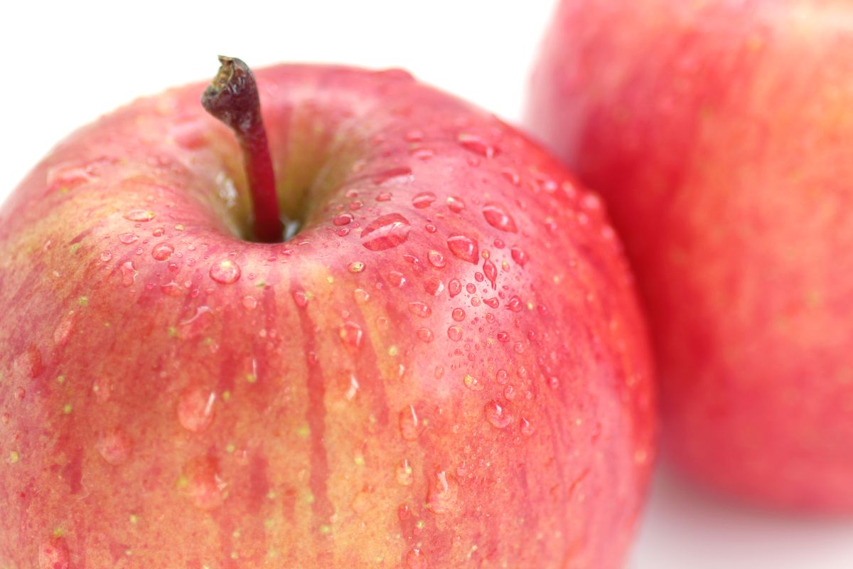 【2026年2月上旬発送】【特選】りんご 約3kg サンふじ 青森 五所川原