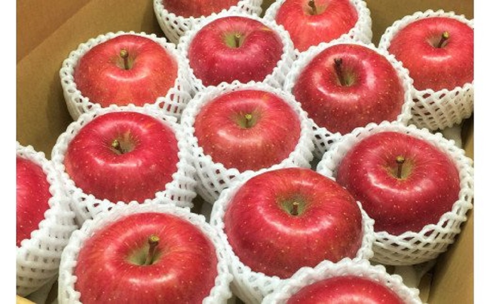 【2025年10月発送】 早生 ふじ 【特選】 約 3kg りんご 青森 産