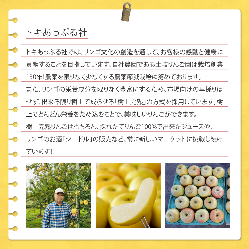 木製コースター りんご 1枚 【特製リンゴ枝コースター】 木で繋がる「きづなコースター」 青森県五所川原市