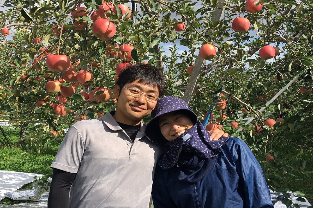 【2026年1月上旬発送】【訳あり】りんごサンふじ5kg青森