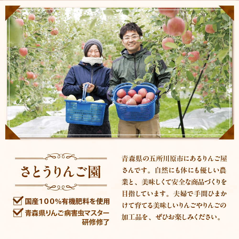 青森 りんごジュース 1L×6本 りんご 果汁 100％ ストレート 飲み比べ セット