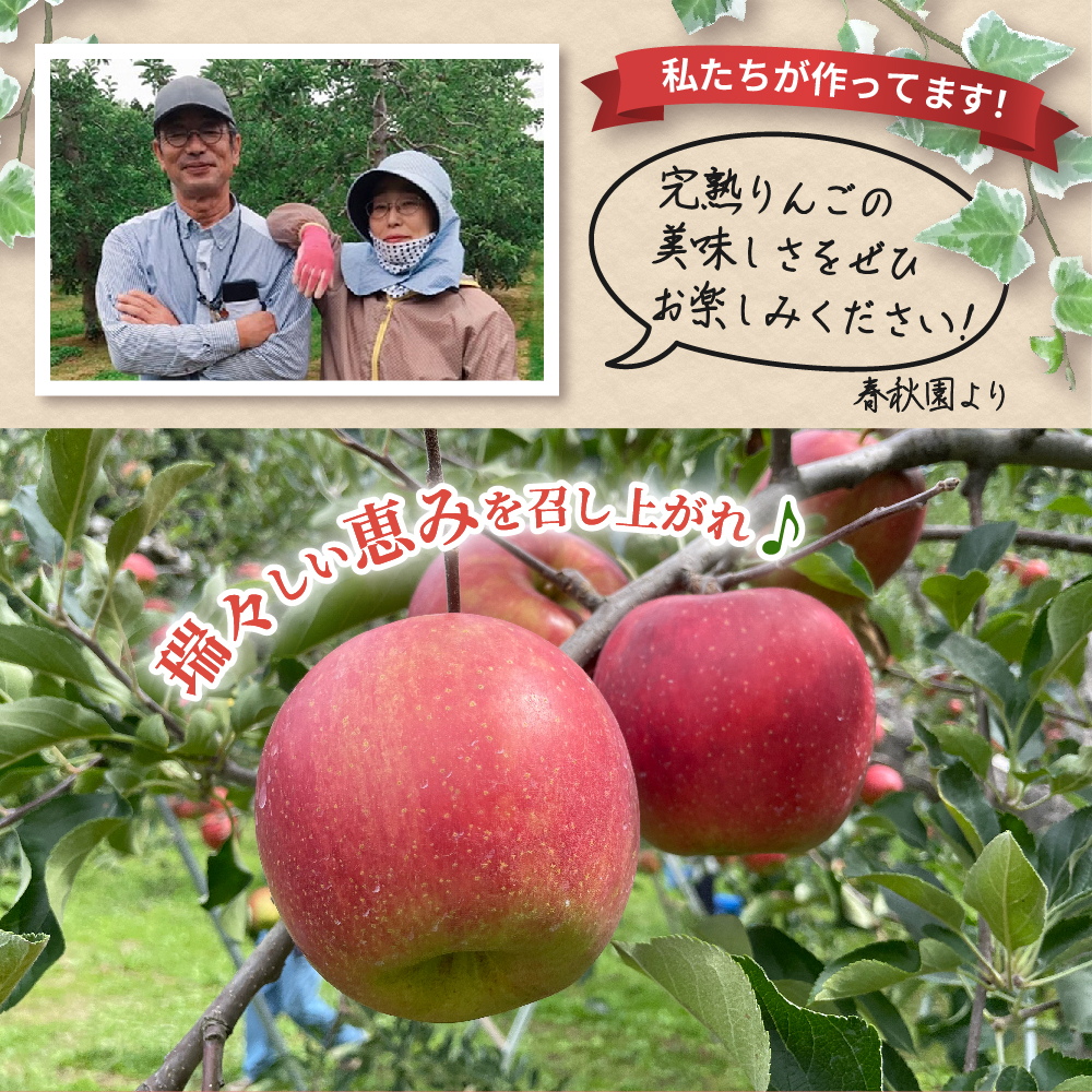 【2025年12月上旬発送】りんご青森産約5kg津軽から完熟サンふじ＆色々ミックス贈答用