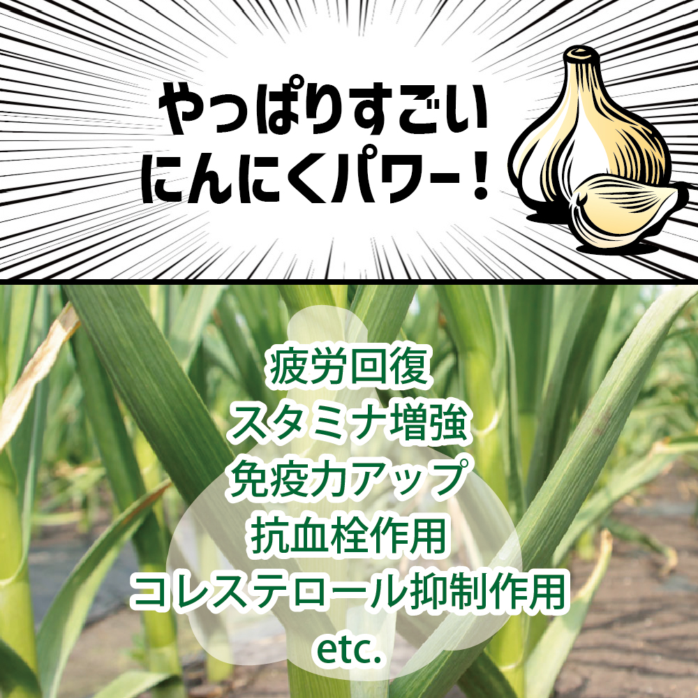【先行受付】【12月発送】訳あり 青森県産にんにく1kg