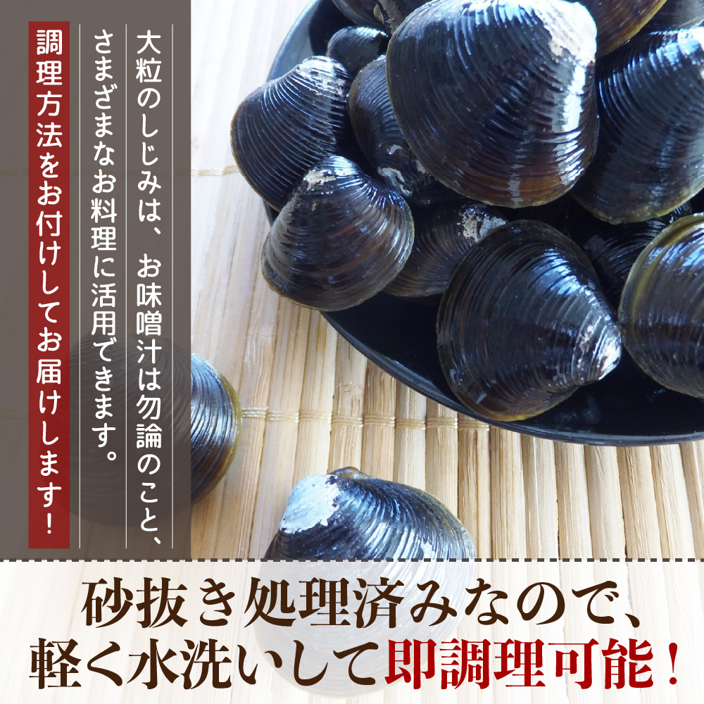 津軽十三湖産大粒しじみ1.6kg（冷凍・砂抜き済）