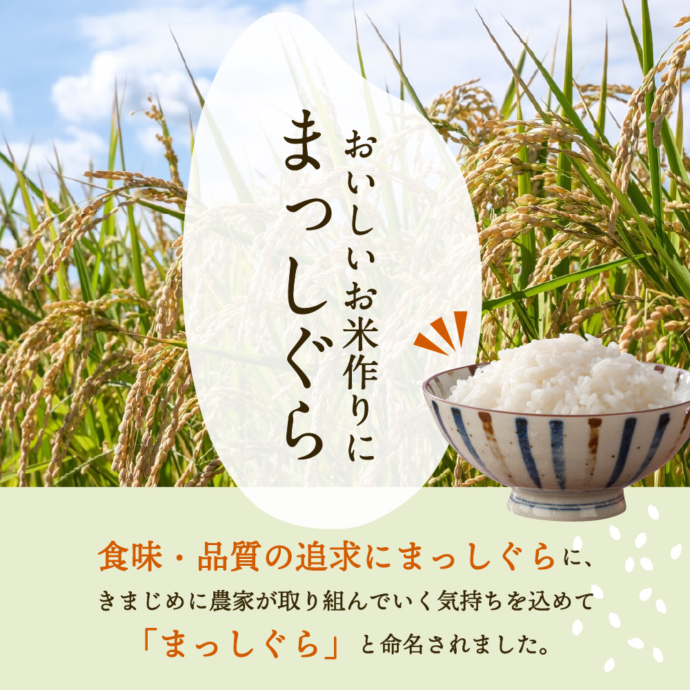 【3月発送】無洗米 10kg 青森県産 まっしぐら 令和7年産米(精米)