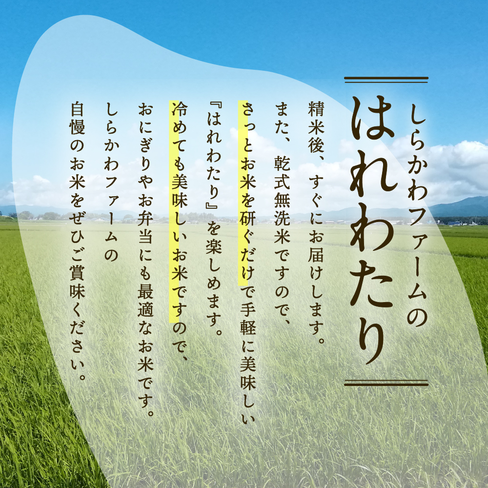 【3月発送】令和7年産 米 10kg 無洗米 特A はれわたり 乾式無洗米 青森県産米（精米） ハレワタリ お米 こめ 10キロ ごはん 五所川原