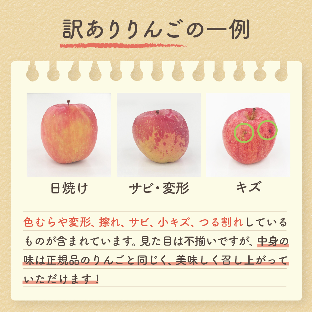 【2025年12月下旬発送】【訳あり】りんご 青森産 約5kg サンふじ