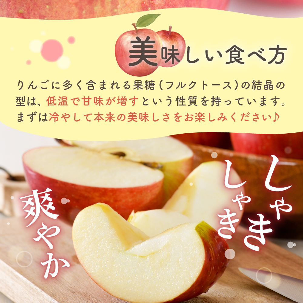 りんご　贈答用 【2025年12月中旬発送】 約 5kg サンふじ 五所川原 【 青森りんご サンふじりんご リンゴ 林檎 青森 贈答 】
