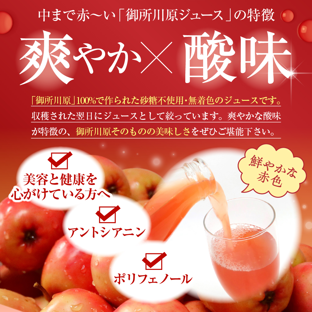 りんごジュース中まで赤～いりんごジュース180ml×6本