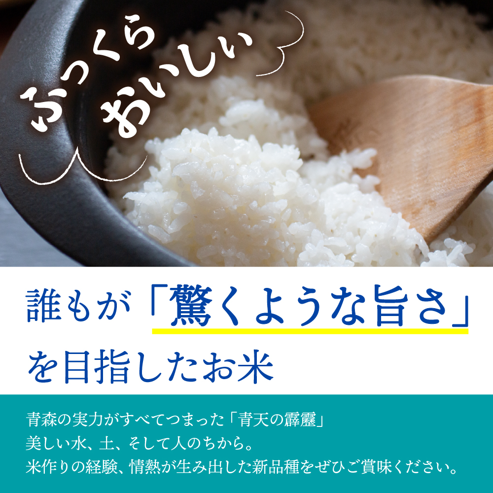 【定期便12ヶ月】米 青天の霹靂 5kg 青森県産【特A 8年連続取得】（精米）