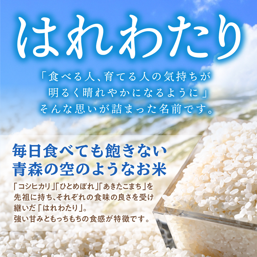 	【定期便隔月6回】 米 5kg はれわたり （精米） 令和7年産 青森県産 【 五所川原市 白米 お米 晴れ渡り 晴れわたり harewatari 5キロ 】