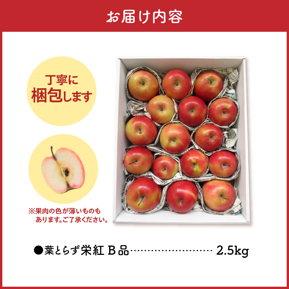 【ANA限定】中まで赤～いりんご<栄紅>【2026年2月上旬発送】 葉とらずりんご 訳あり 約2.5kg 不揃い B品 家庭用 青森県 五所川原市 りんご リンゴ