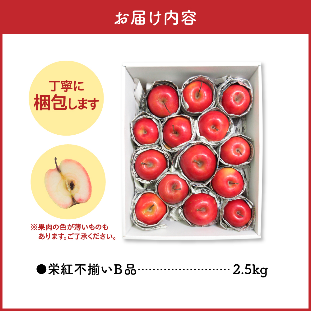 【ANA限定】中まで赤～いりんご<栄紅>【2026年1月上旬発送】 訳あり 約 2.5kg 不揃い B品 家庭用 青森県 五所川原市 りんご リンゴ