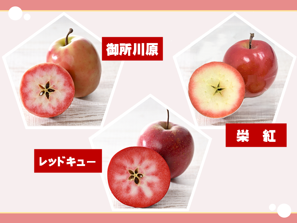 りんごチップス 25g×2袋 ノンフライ 《Akarin5チップス》 りんごスナック 乾燥りんご 林檎チップス | 御所川原 栄紅 レッドキュー 中まで赤～いりんご | 青森 五所川原市 おやつ りんご リンゴ 林檎 アップル スナック チップス 低温乾燥