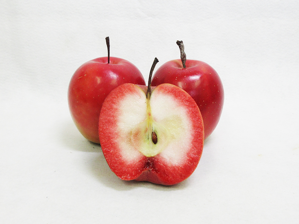 りんごチップス 25g×2袋 ノンフライ 《追熟チップス》 りんごスナック 乾燥りんご 林檎チップス リンゴチップス | 栄紅 中まで赤～いりんご | 青森 五所川原市 おやつ りんご リンゴ 林檎 アップル スナック チップス