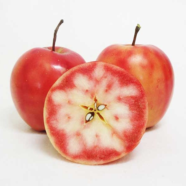 アップルティー　Akarin5Tea_1袋（5パック） りんご茶 ノンカフェイン りんごだけで作ったお茶【酸っぱい】茶外茶 五所川原市 ＡＣＴ 中まで赤～いりんご 御所川原