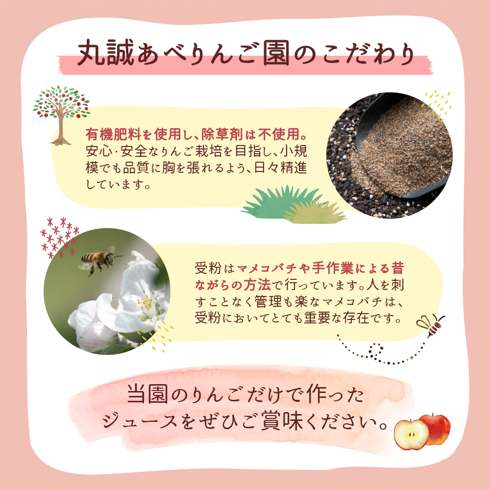 りんごジュース ストレート   (1L×2本) 100％ ジュース 千雪 青森 【 千雪のりんごジュース 】 丸誠あべりんご園 【 酸化防止剤無添加 青森 五所川原 りんご 飲料 瓶  林檎ジュース リンゴジュース 果物ジュース アップルジュース 2L 無濾過 ちゆき 】