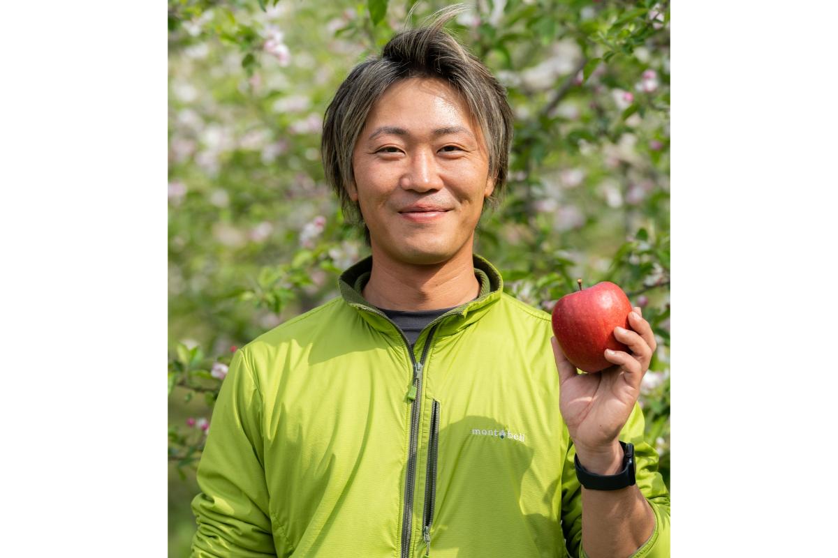 【2025年12月上旬発送】 訳あり りんご サンふじ 約5kg 青森 果物 【 訳アリ リンゴ 林檎 ふじ さんふじ 】