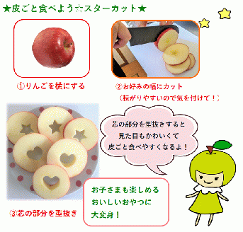 【2026年6月上旬発送】≪特選≫ りんご 有袋ふじ 3kg (スマートフレッシュ™貯蔵またはCA貯蔵・クール便)