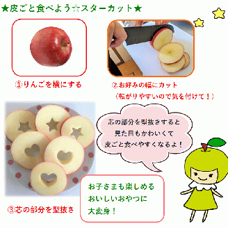 【2026年5月上旬発送】≪特選≫ りんご 5kg 有袋ふじ (スマートフレッシュ™貯蔵またはCA貯蔵・クール便)