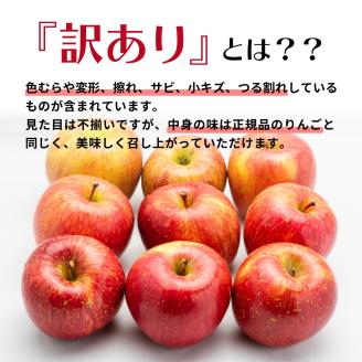 【2026年3月中旬発送】 【訳あり】旬の美味しいりんご 約15kg 青森産 【おまかせ2品種】