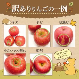 【2025年12月中旬発送】【訳あり】 りんご 15kg 詰め合わせ 計2種(サンふじ と 他1種) 不揃い フルーツ 家庭用