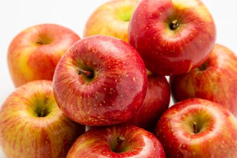 【2026年3月中旬発送】 りんご 5kg サンふじ 王林 他 紅白 詰め合わせ 青森