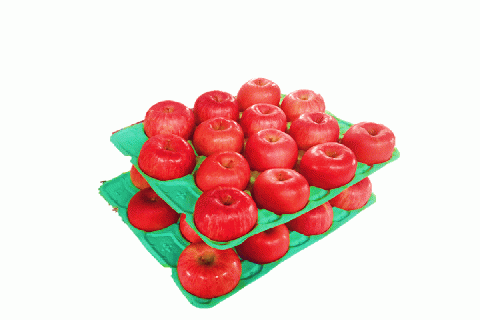 【ANA限定】【2026年2月上旬発送】りんご約10kgサンふじ〈氷点寒熟〉青森県産