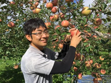 【2025年12月上旬発送】【贈答用】りんごサンふじ5kg青森