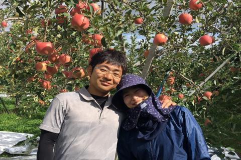 【2025年12月中旬発送】【訳あり】りんごサンふじ5kg青森