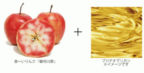 AKARIN5プロテオグリカンスキンローション