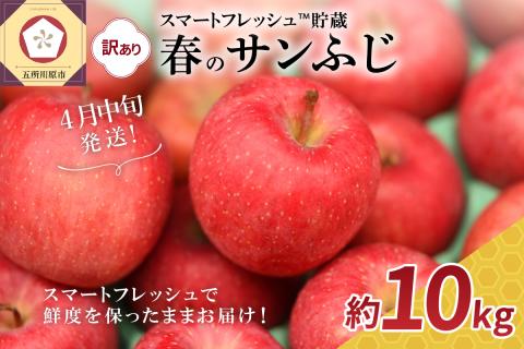 【2026年4月中旬発送】りんご春のサンふじ訳あり10kgスマートフレッシュTM貯蔵またはCA貯蔵