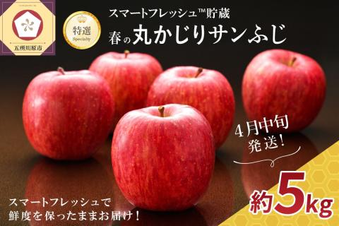 【2026年4月中旬発送】≪特選≫ 春の丸かじりサンふじ りんご 約5kg スマートフレッシュTM貯蔵 贈答用 果物 フルーツ 5キロ 青森県産