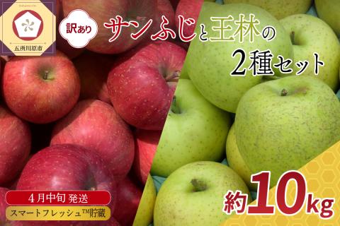 りんご 【2026年4月中旬発送】【訳あり】 約10kg春のサンふじ王林スマートフレッシュTM貯蔵