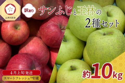 りんご 【2026年4月上旬発送】【訳あり】 約10kg春のサンふじ王林スマートフレッシュTM貯蔵
