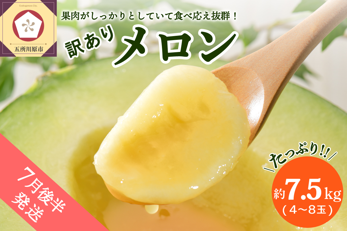 【2026年7月後半発送】【訳あり】 メロン 約7.5kg 青肉 4～8玉 青森県産