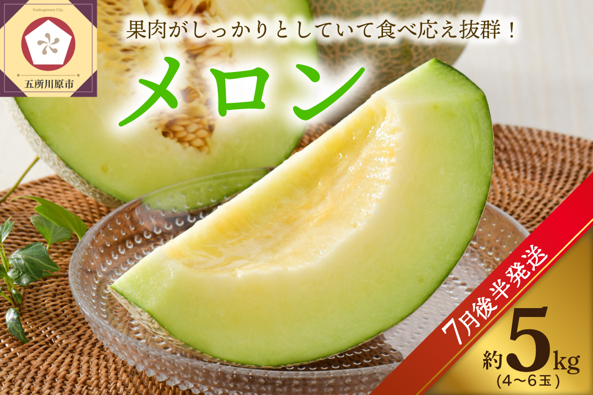 【2026年7月後半発送】 青肉 メロン 5kg程度 (4～6玉) 青森県産