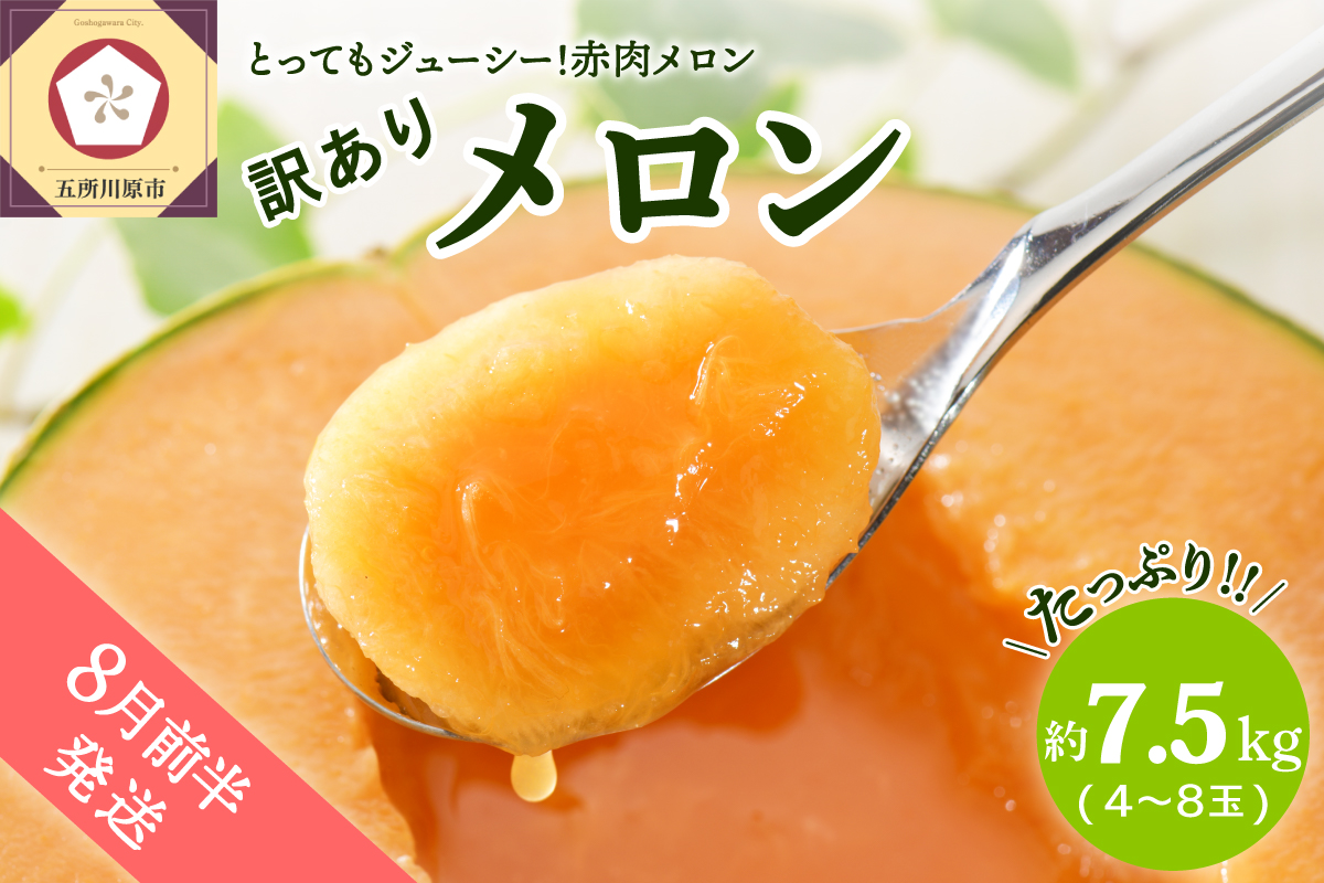【2026年8月前半発送】【訳あり】 メロン 赤肉 7.5kg程度(4～8玉) 青森県産