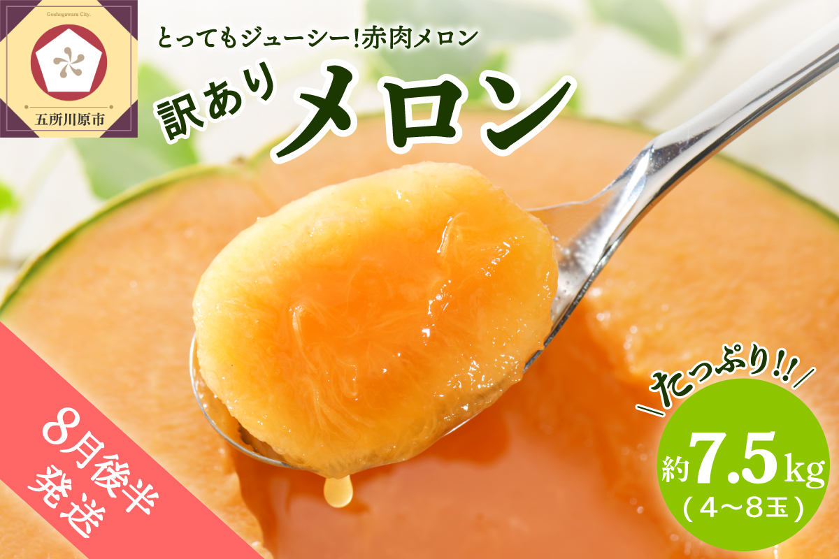 【2026年8月後半発送】【訳あり】 メロン 赤肉 7.5kg程度(4～8玉) 青森県産