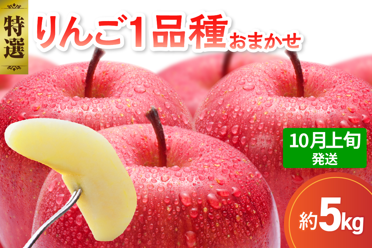 【2025年10月上旬発送】 【特選】 旬の美味しい りんご 約5kg 青森産 【おまかせ1品種】