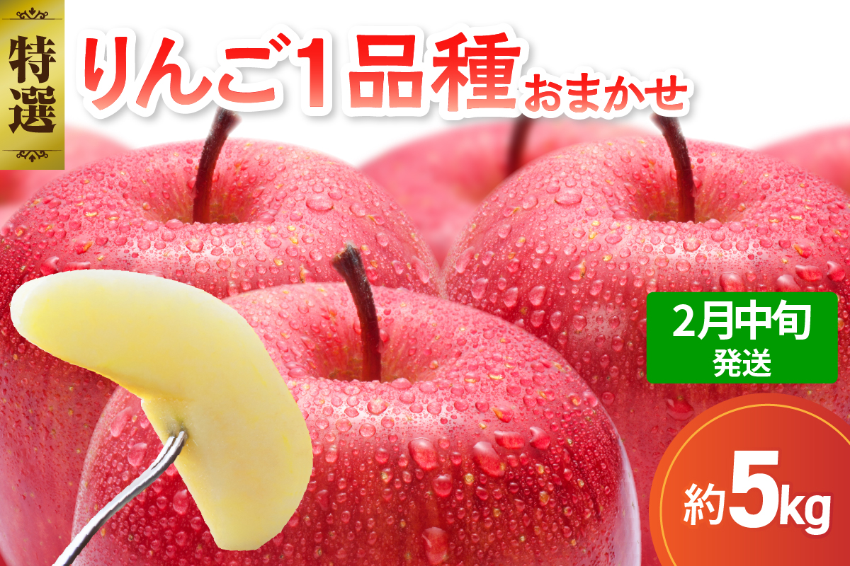 【2026年2月中旬発送】 【特選】 旬の美味しい りんご 約5kg 青森産 【おまかせ1品種】