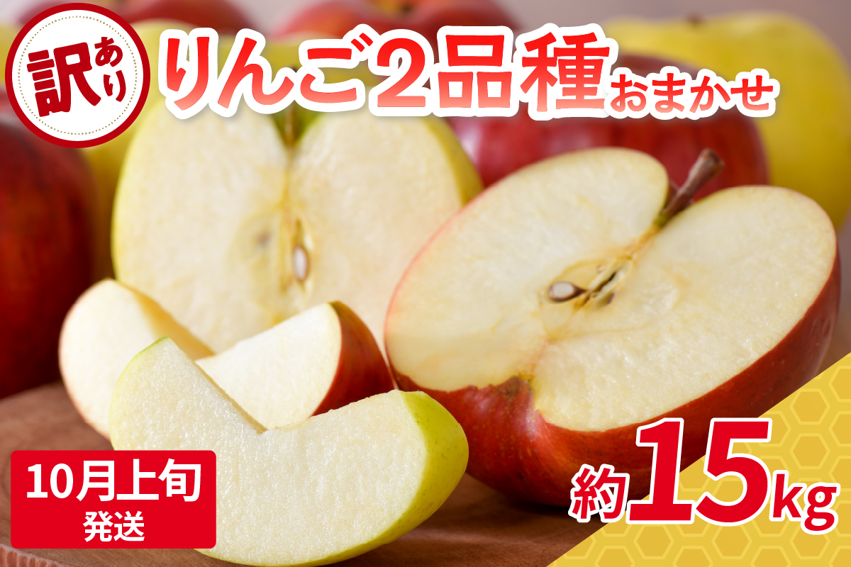 【2025年10月上旬発送】 【訳あり】旬の美味しいりんご 約15kg 青森産 【おまかせ2品種】