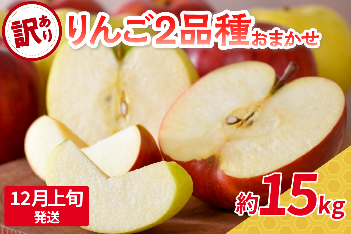 【2025年12月上旬発送】 【訳あり】旬の美味しいりんご 約15kg 青森産 【おまかせ2品種】