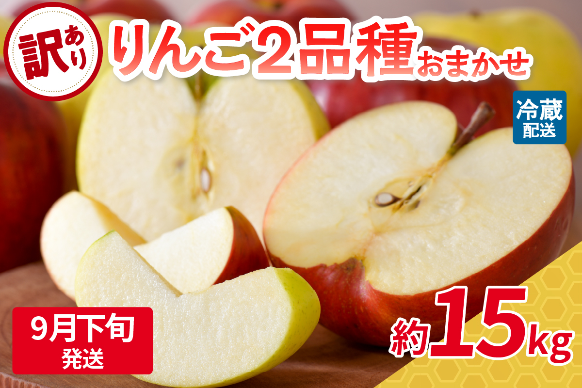 【2025年9月下旬発送】 【訳あり】旬の美味しいりんご 約15kg 青森産 【おまかせ2品種】