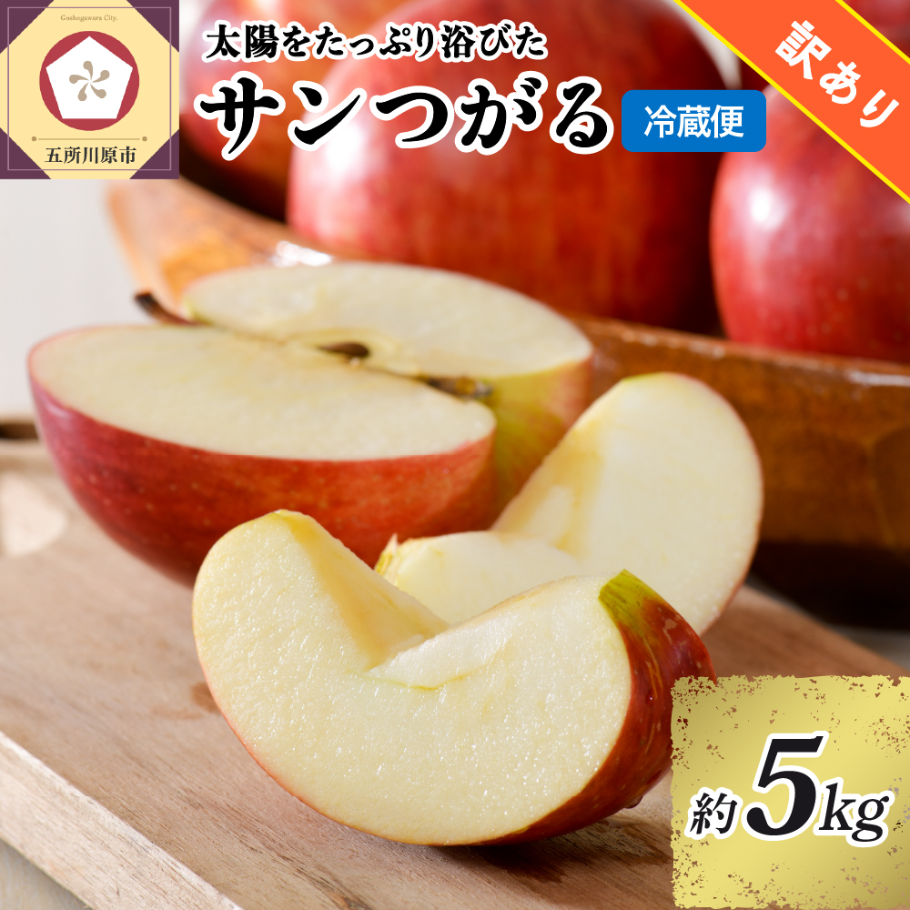 訳あり りんご 5kg 9月 サンつがる 青森【2025年 リンゴ 林檎 果物 クール便】