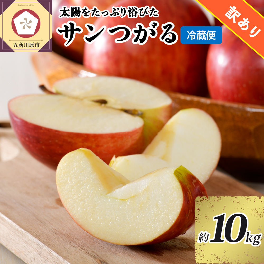 訳あり りんご 10kg 9月 サンつがる 青森【2025年 リンゴ 林檎 果物 クール便】