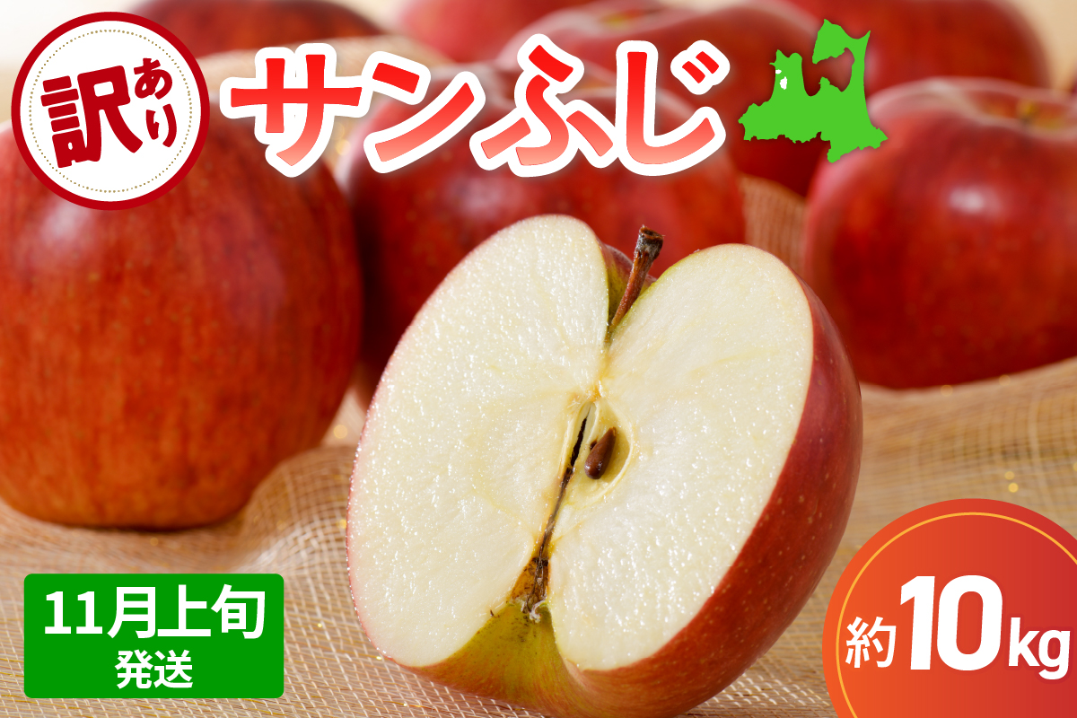 【2025年11月上旬発送】 【訳あり】 りんご 10kg サンふじ 青森 不揃い