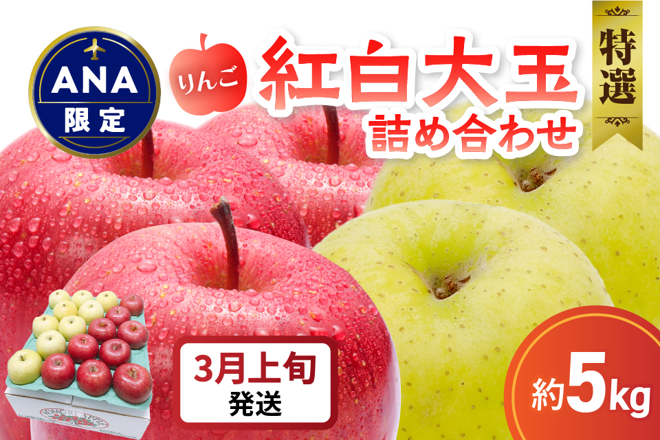 【ANA限定】【2026年3月上旬発送】 りんご 5kg 紅白の 大玉特選 詰め合わせ 青森
