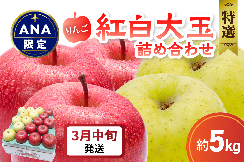 【ANA限定】【2026年3月中旬発送】 りんご 5kg 紅白の 大玉特選 詰め合わせ 青森